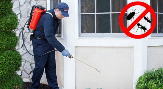 Beşiri Böcek ve Haşere İlaçlama böcek ilaçlama ve haşere kontrolü — ilaclama-tr.com